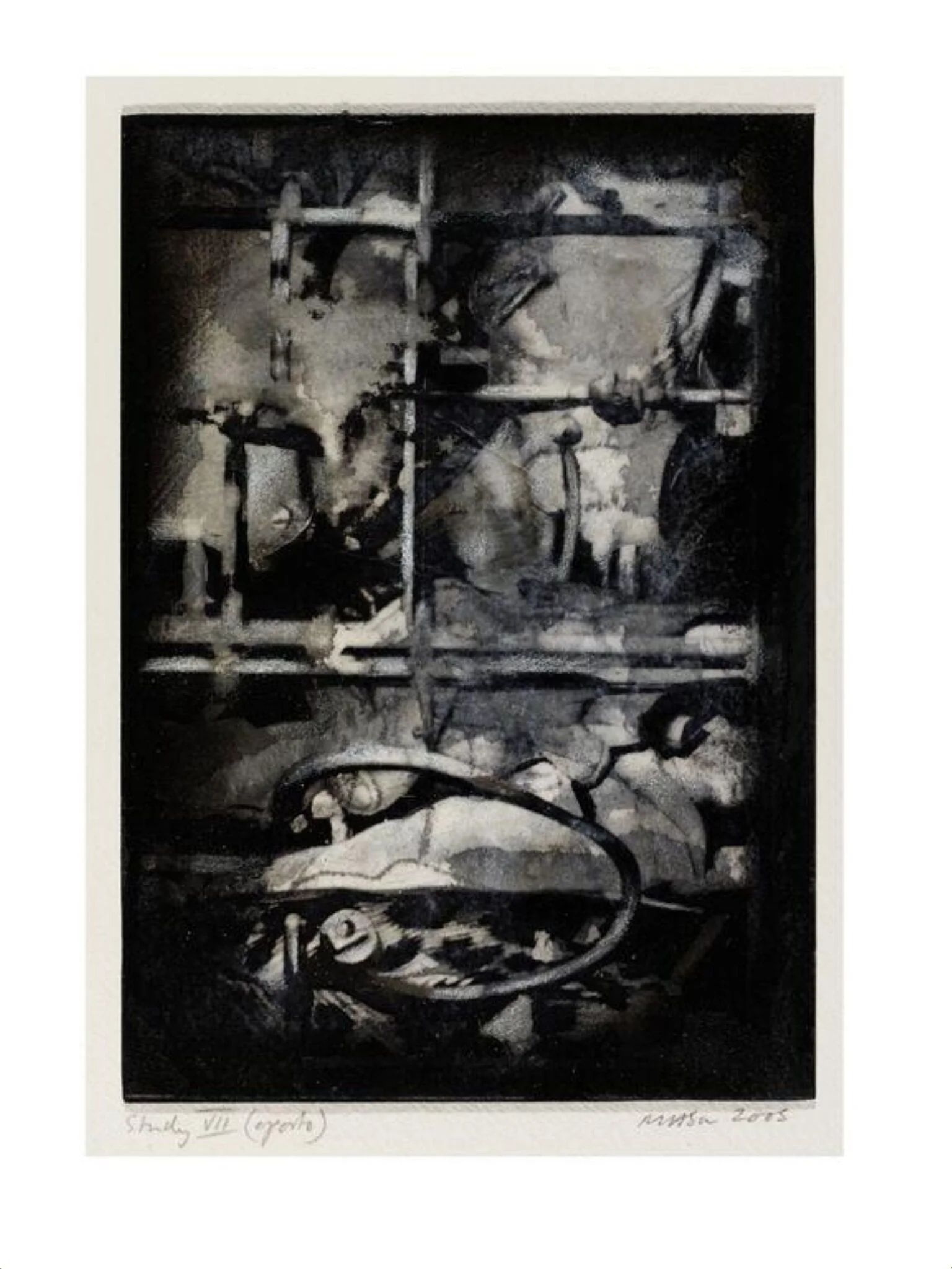 Study VII (Oporto)