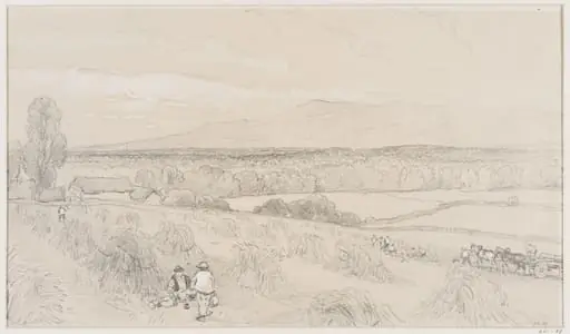 Harvest scene