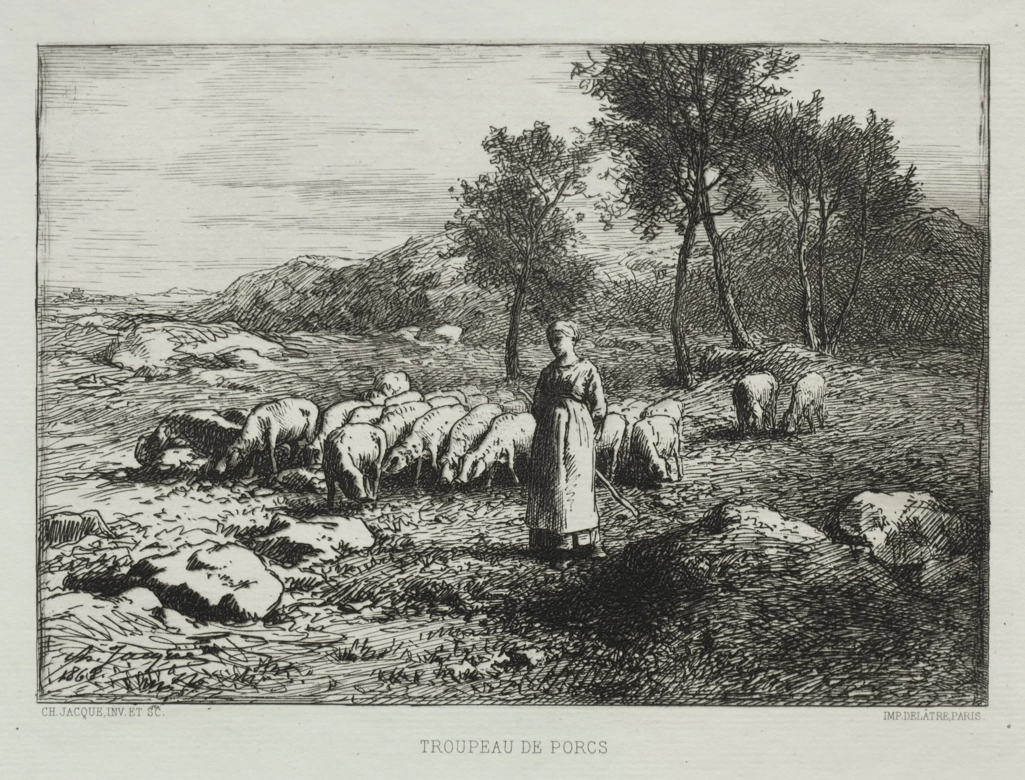 Herd of Swine, by Charles Jacque, 1868