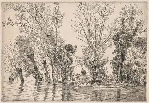 Willows of the Mottiaux Islands