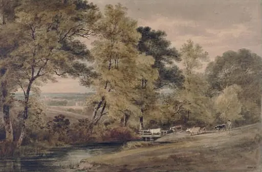 View near Little Bushey