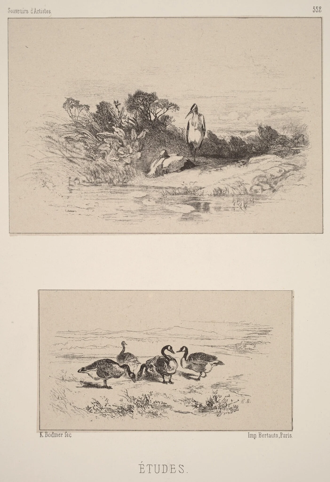 Etudes, by Karl Bodmer, ink, 1851
