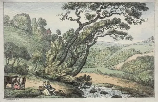 A Cornish View