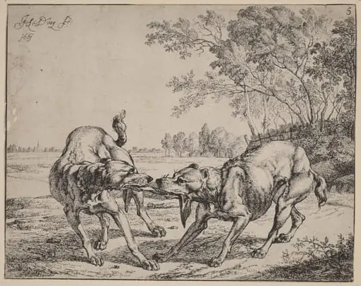 The Disputed Meat (La viande disputé)