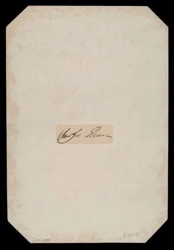 H Beard Print Collection