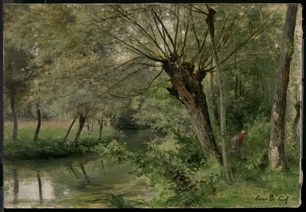 Stream through the Forest