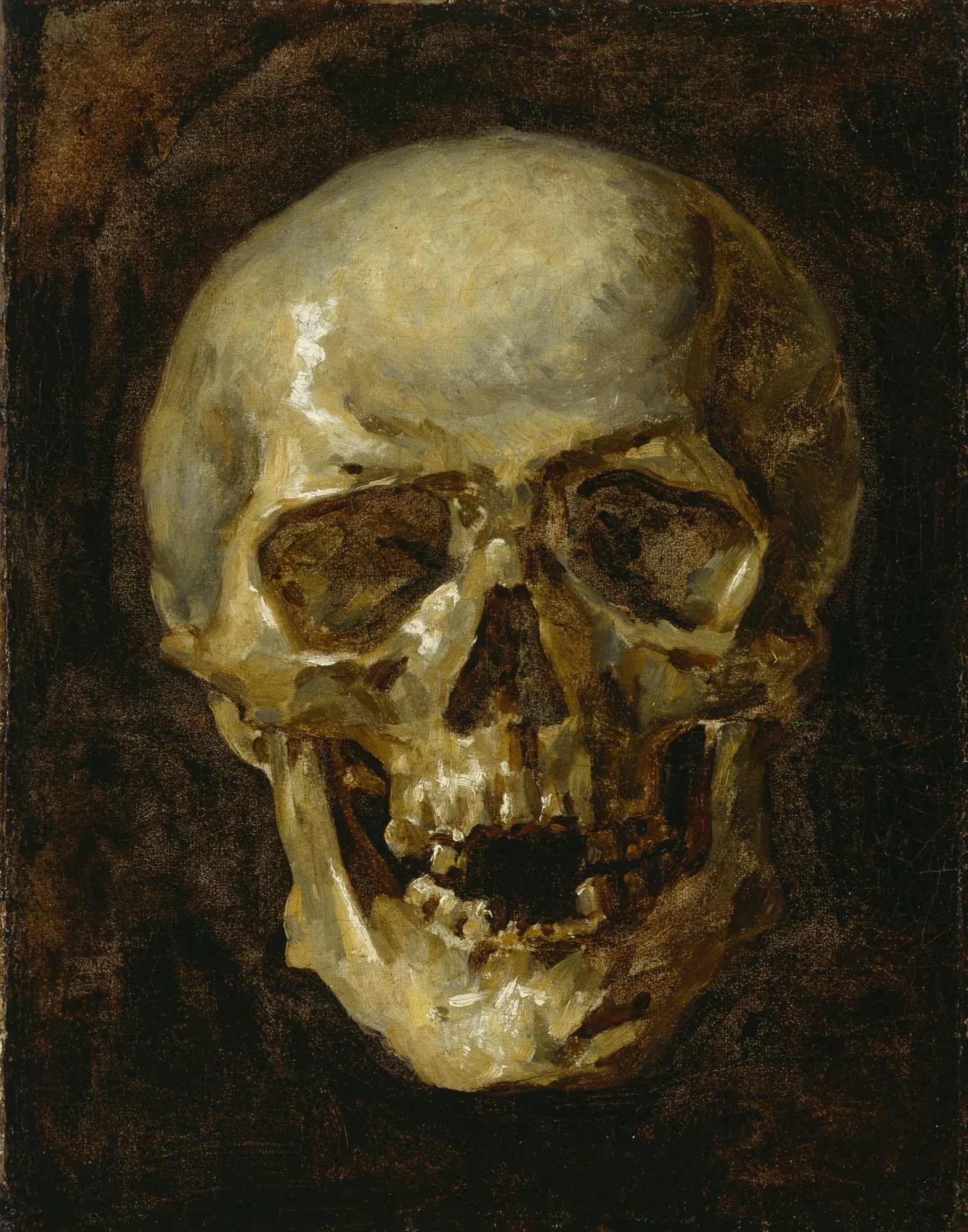 Skull, by Unknown, oil