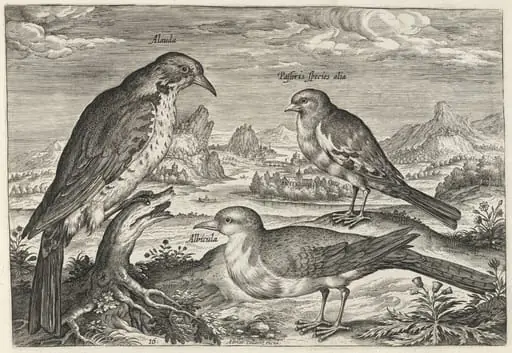 Lark and Two Smaller Birds