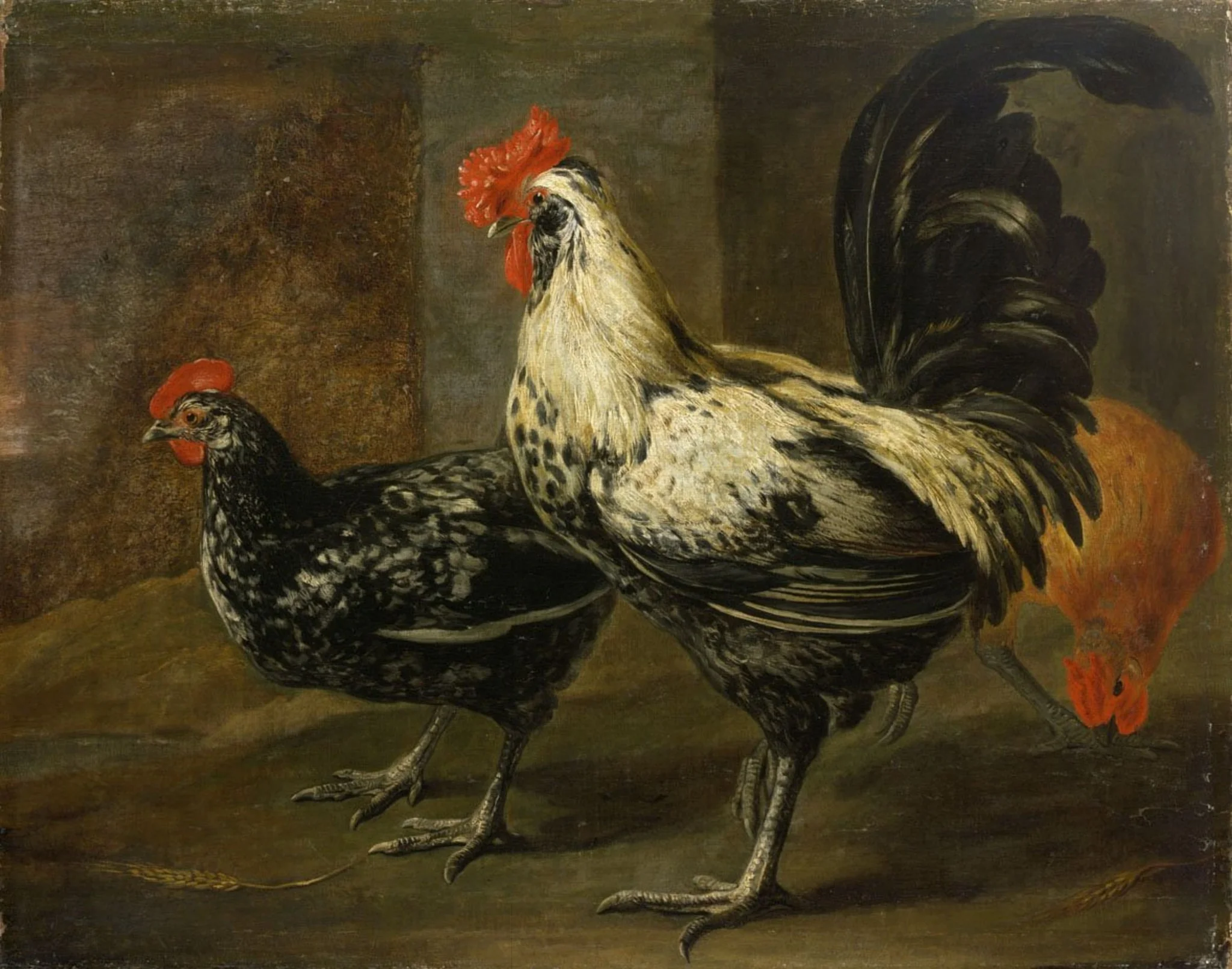 Cockerel and Hens