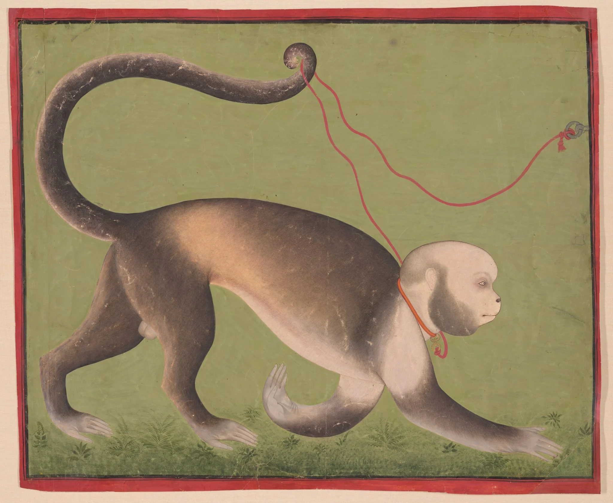 A Monumental Portrait of a Monkey, by Unknown, watercolor, 1708
