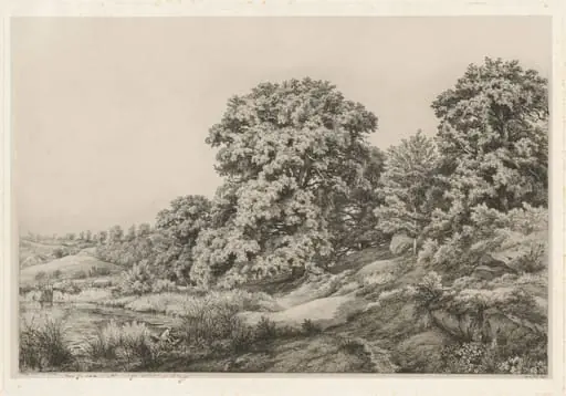 Oaks near a Pond