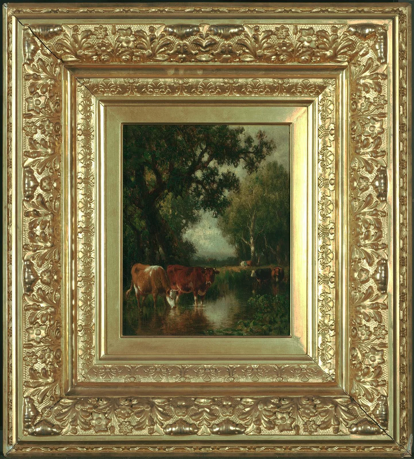 Cows Drinking at a Pool
