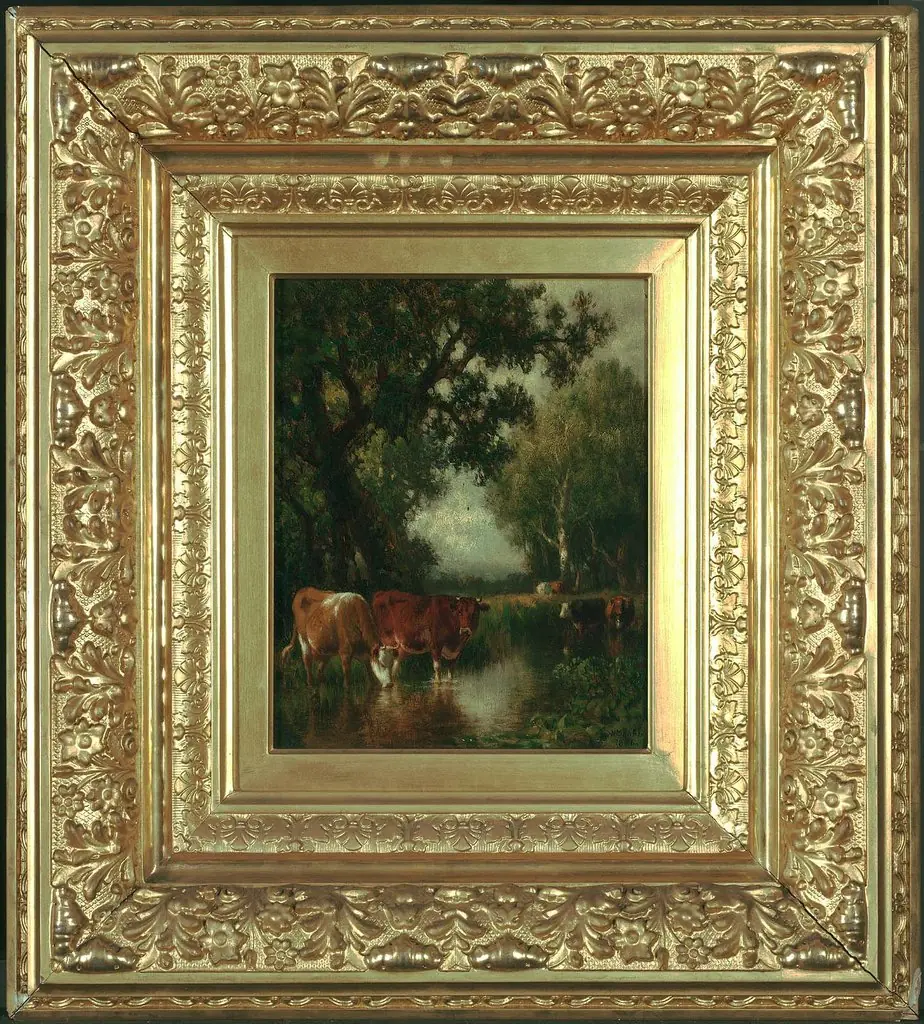 Cows Drinking at a Pool