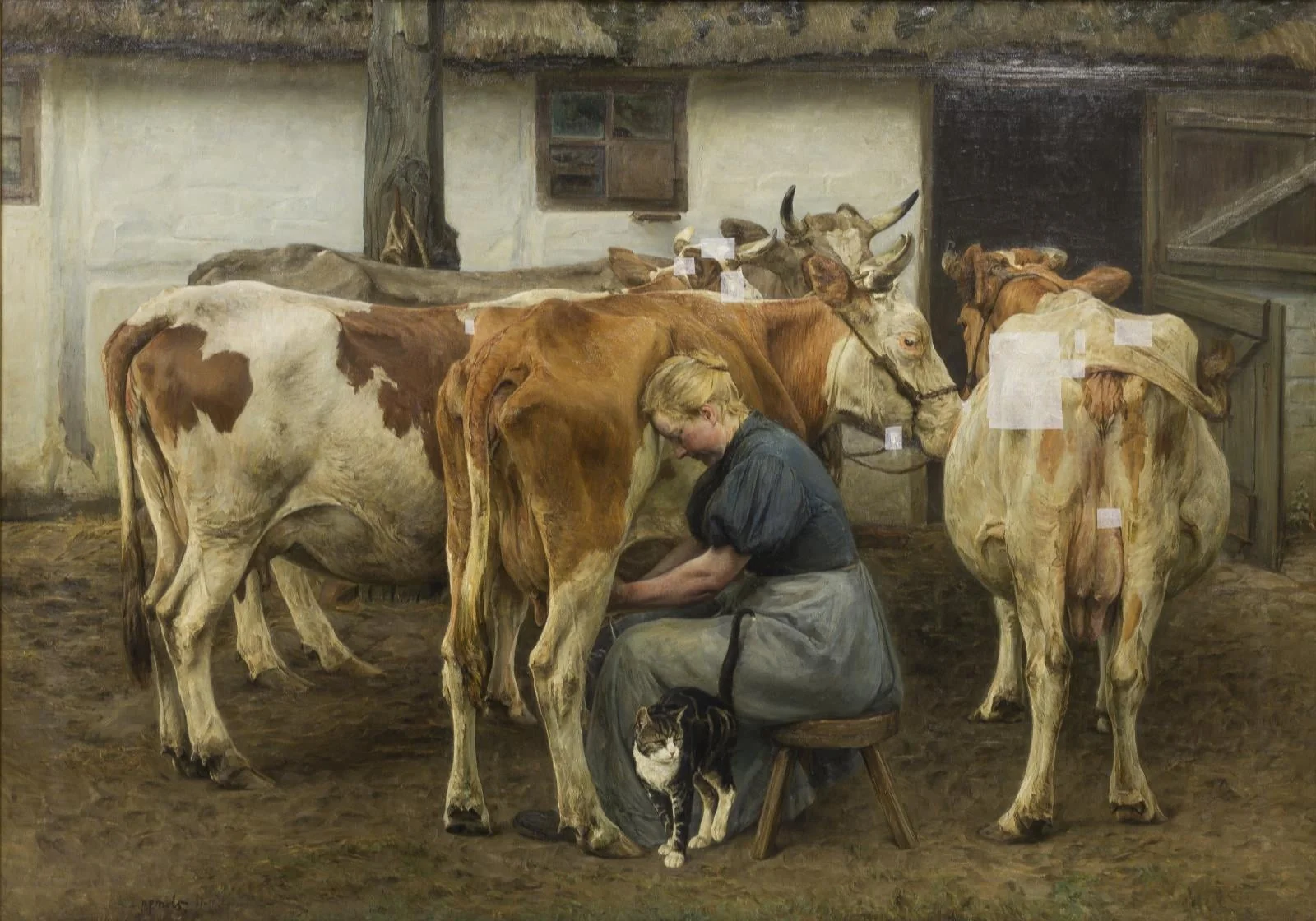 Milking the Cows. West Jutland, by Unknown, 1898