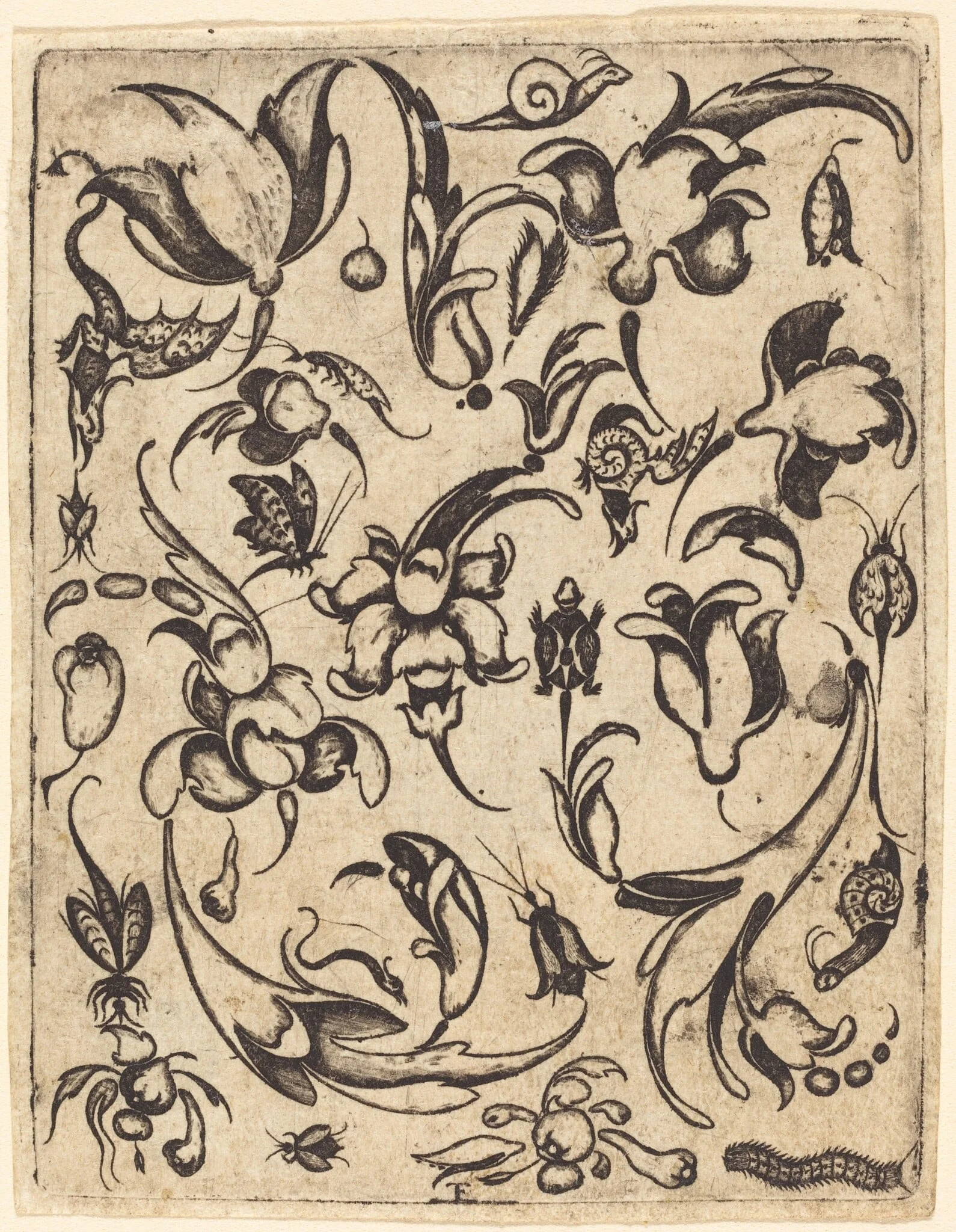 Ornament