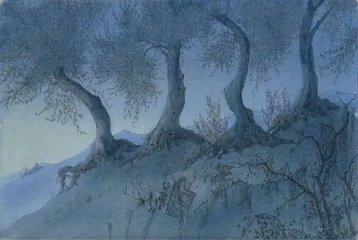 Olive trees at St. François AM