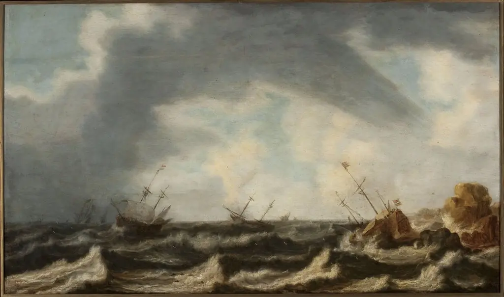 Marine landscape