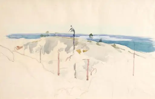 Koli, luonnos