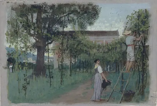 Grape-picking