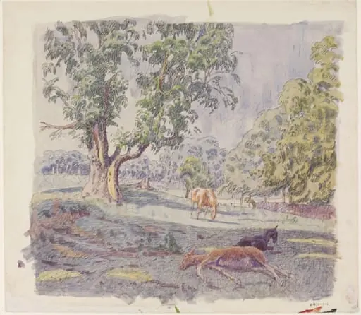 Colts on Lexden Hill