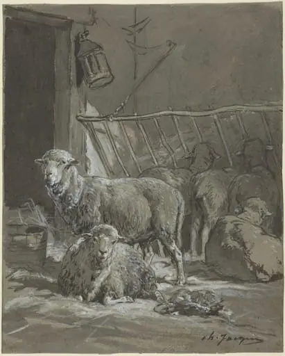 Sheep in a Manger