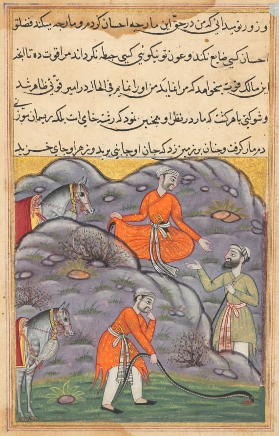 The emir slays the snake after giving it shelter, from a Tuti-nama (Tales of a Parrot): Forty-fifth Night, by Unknown, unspecified, 1560