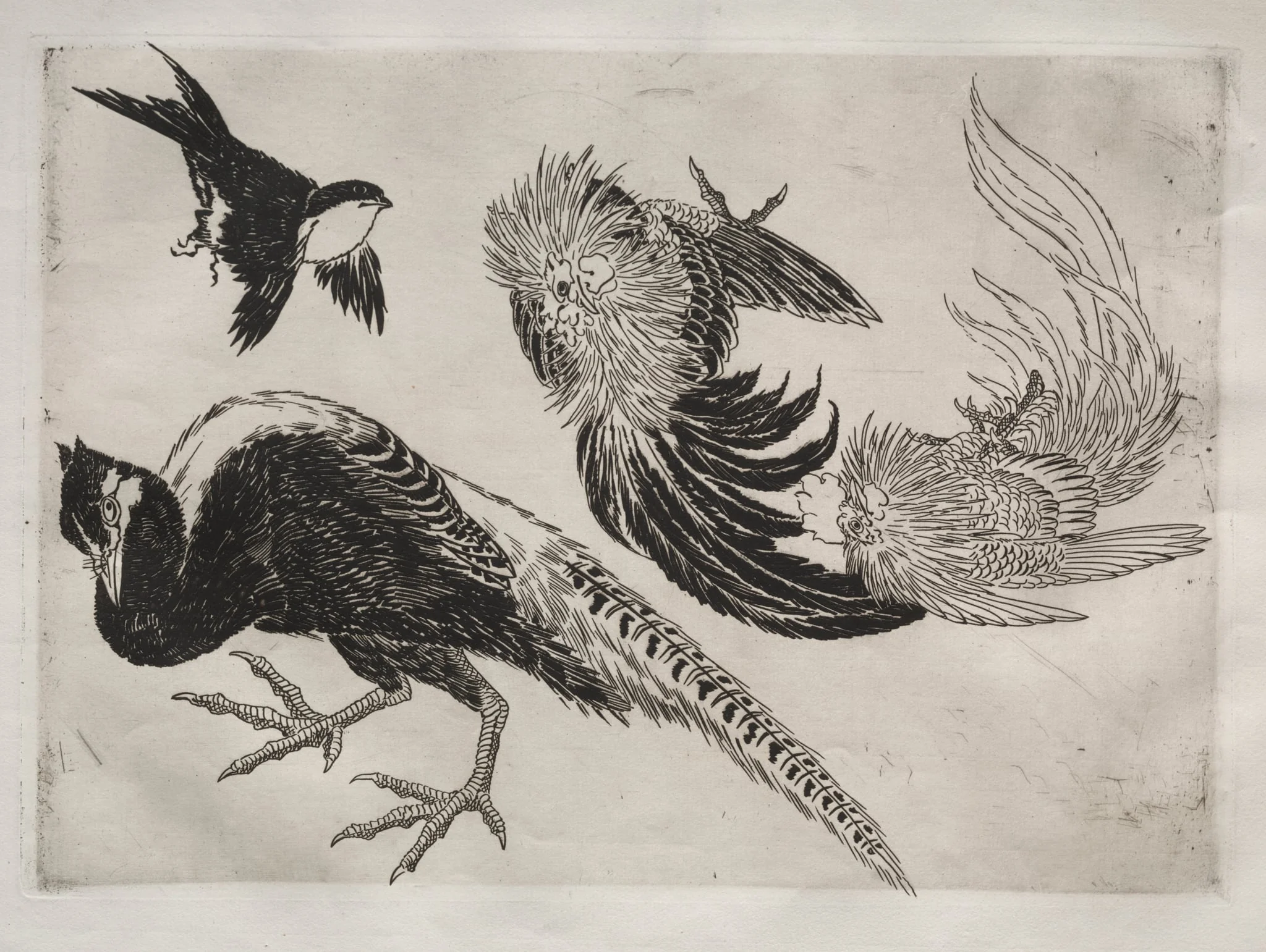 Dinner Service (Rousseau service): Pheasants and bird (no. 18), by Félix Bracquemond, 1866