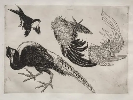 Dinner Service (Rousseau service): Pheasants and bird (no. 18)