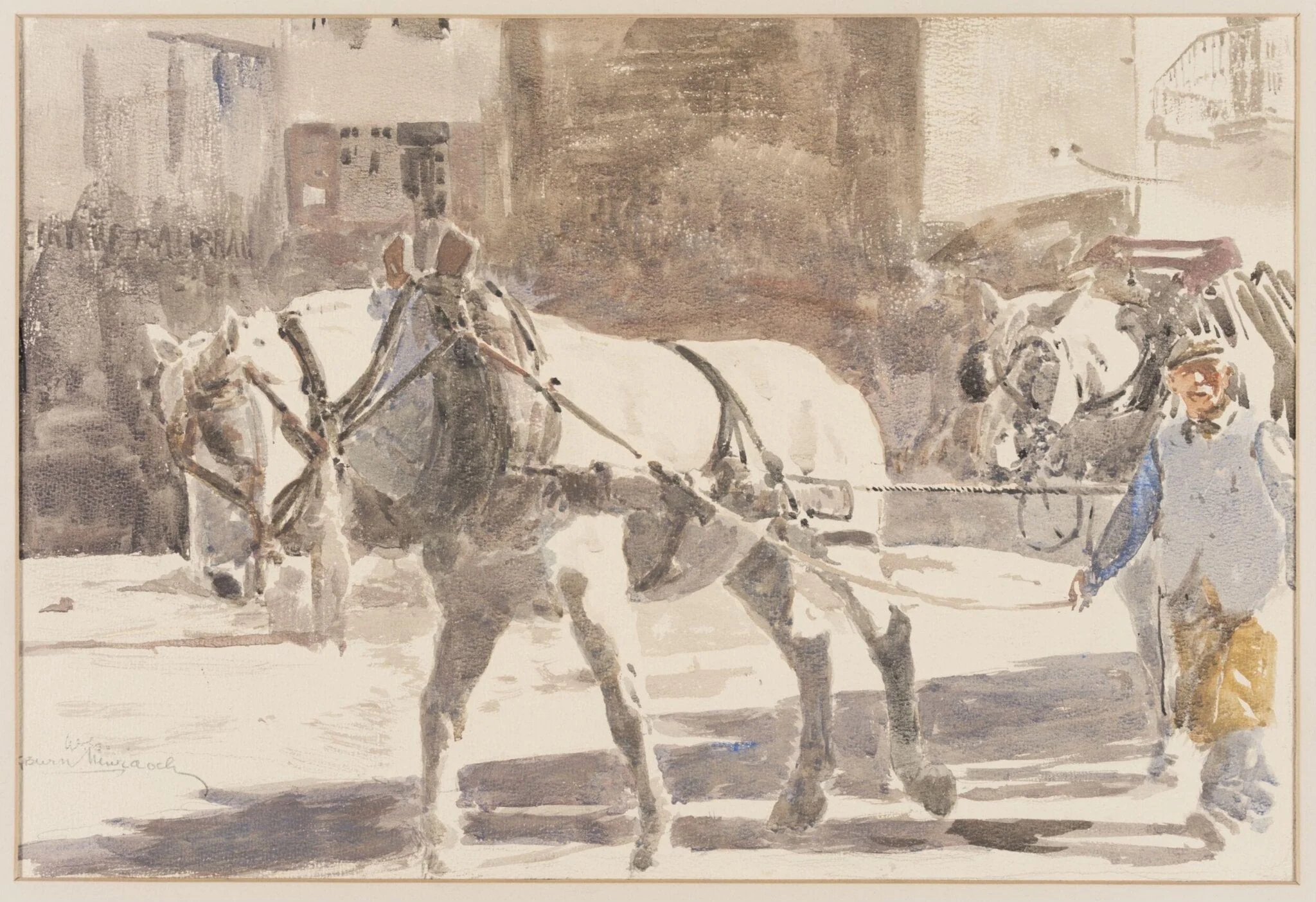Two Percheron Horses