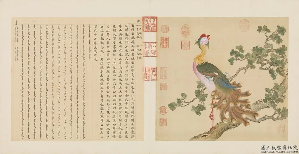 Documentary Albums of Birds