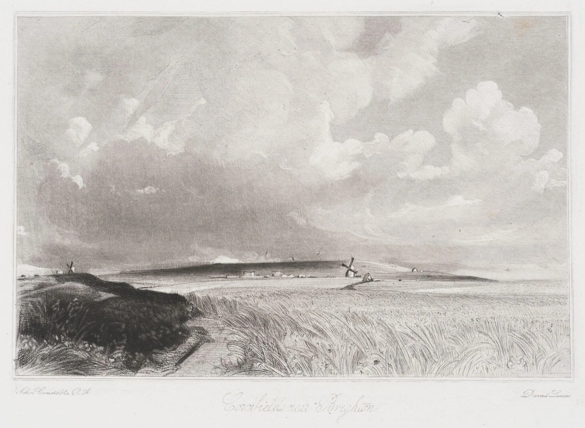 Cornfields near Brighton, by John Constable, 1855