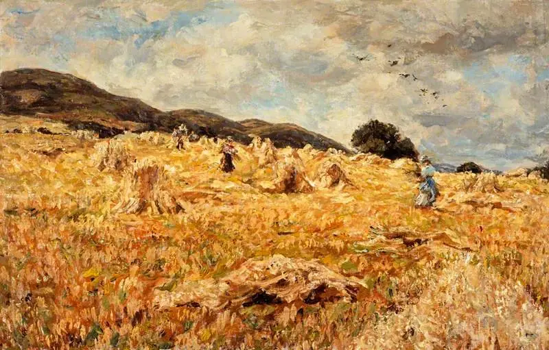 A Cornfield near Wooler