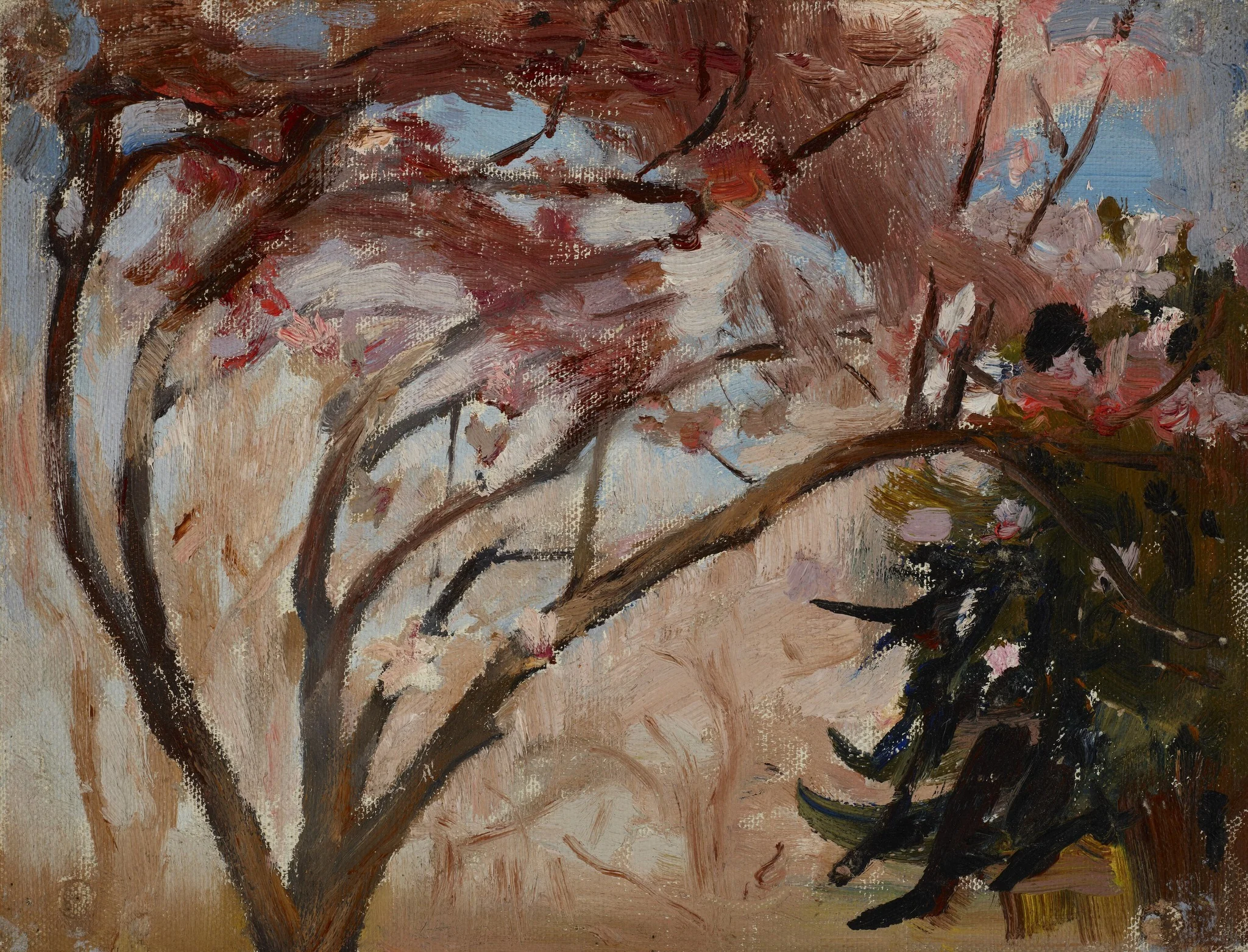 Crimea (Magnolia)