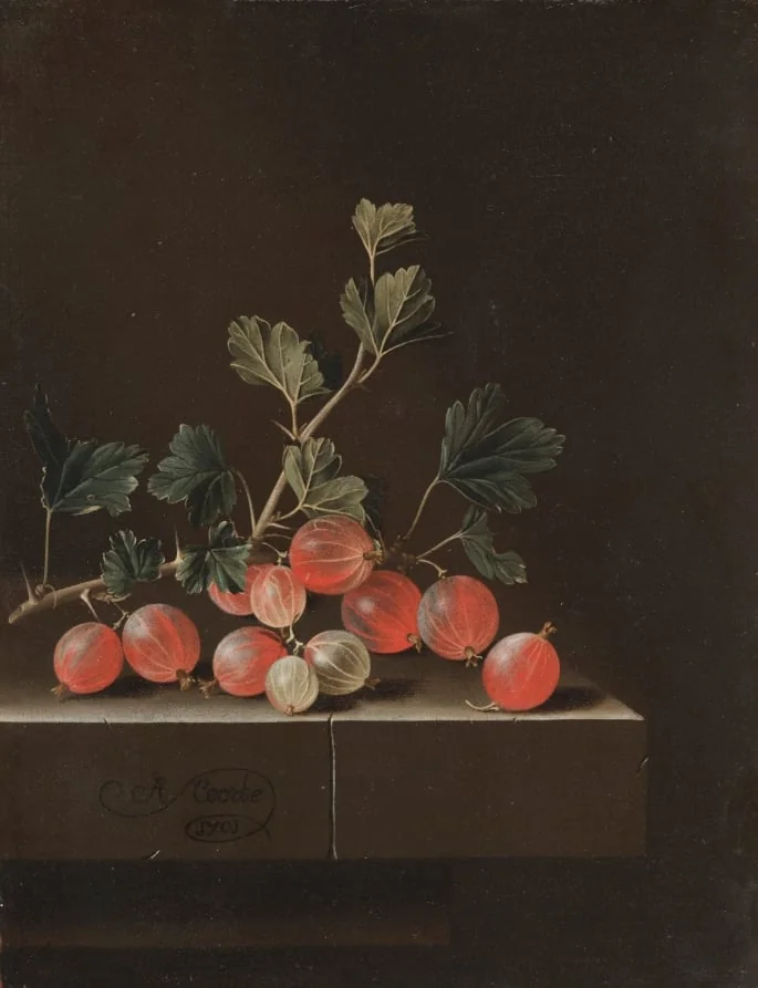 Gooseberries on a Table, by Adriaen Coorte, unspecified, 1701