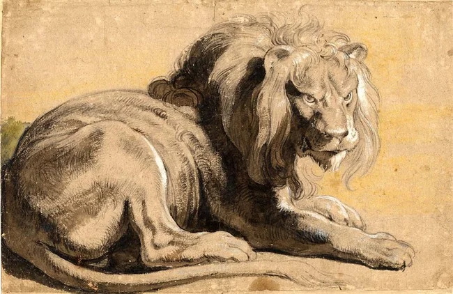 Lion, by Peter Paul Rubens, unspecified, 1613