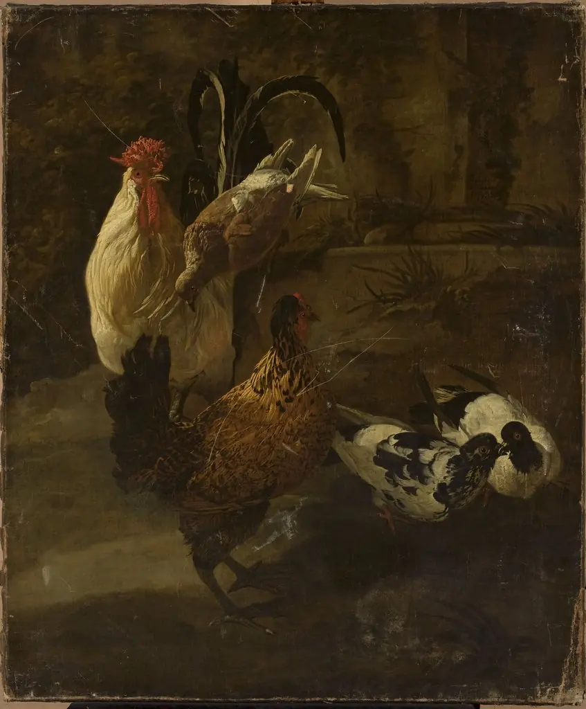 Domestic fowls