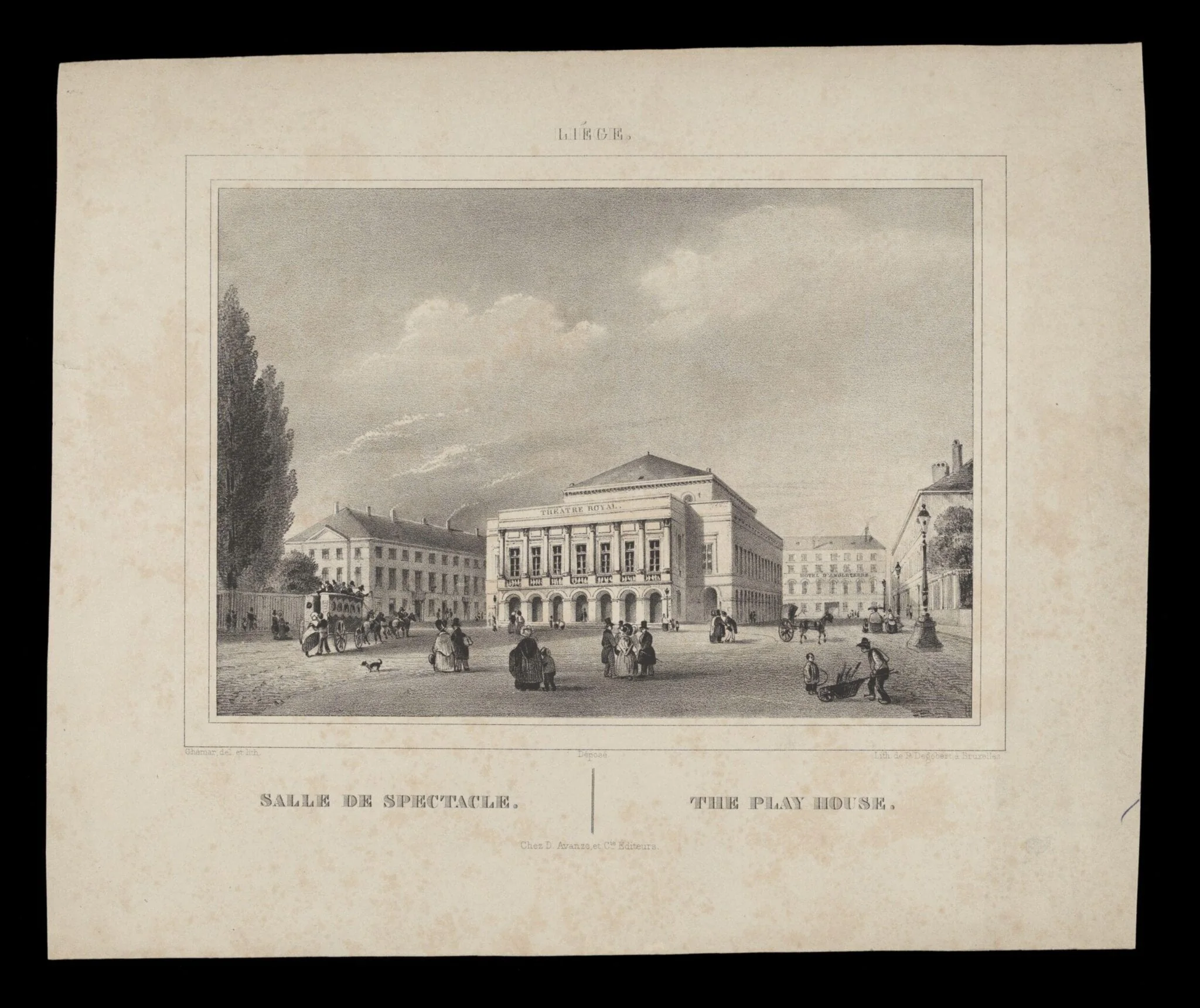 H Beard Print Collection