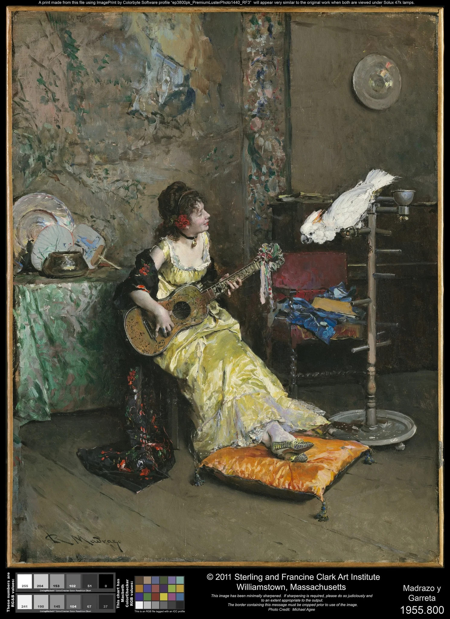 Woman with a Parrot, by Raimundo de Madrazo y Garreta, oil, 1872