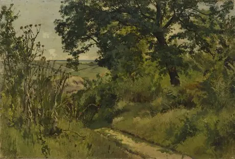 Landscape. Study