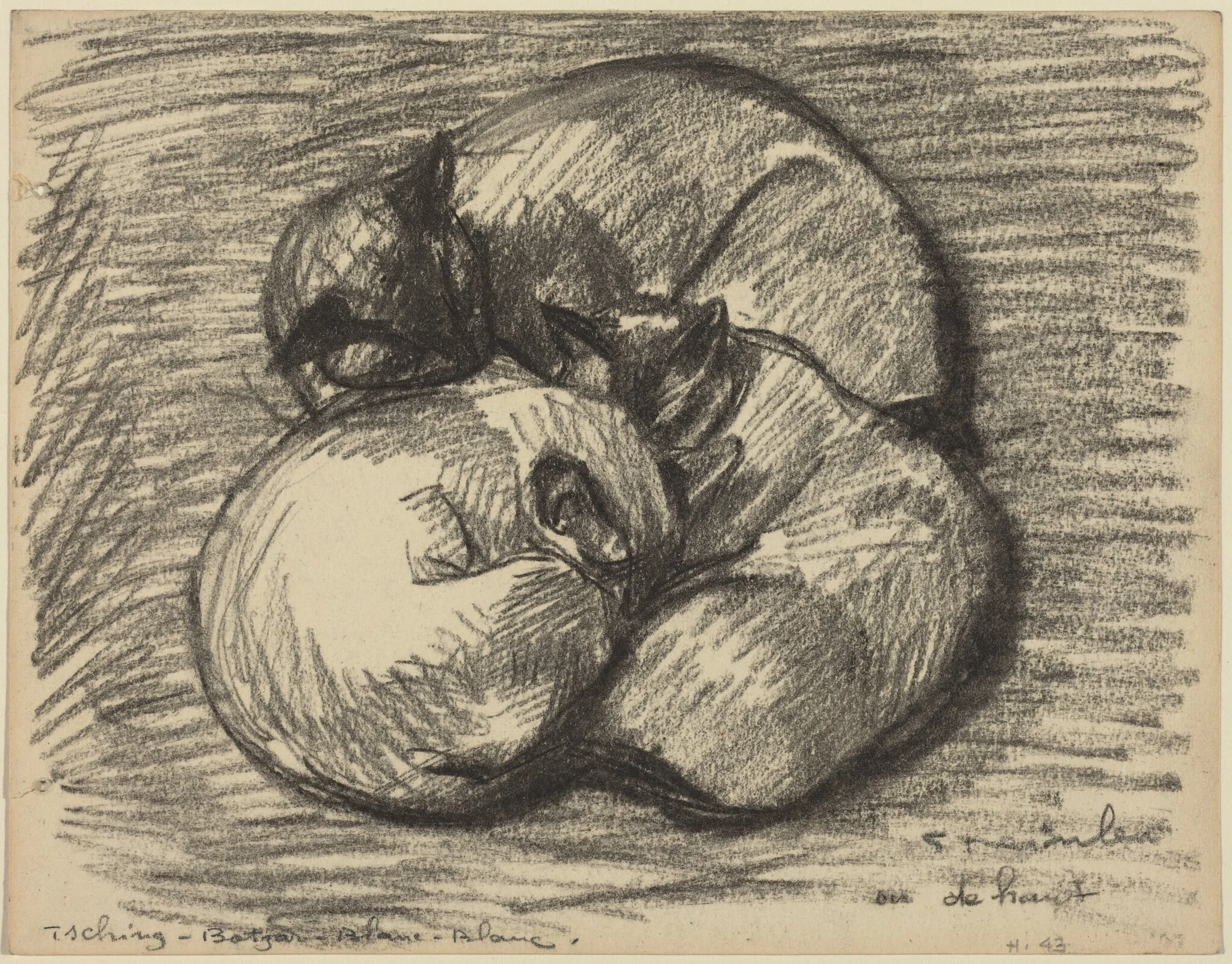 The Cats: Tsching, Batzar and Blanc-Blanc, by Théophile Alexandre Steinlen, charcoal, 1891