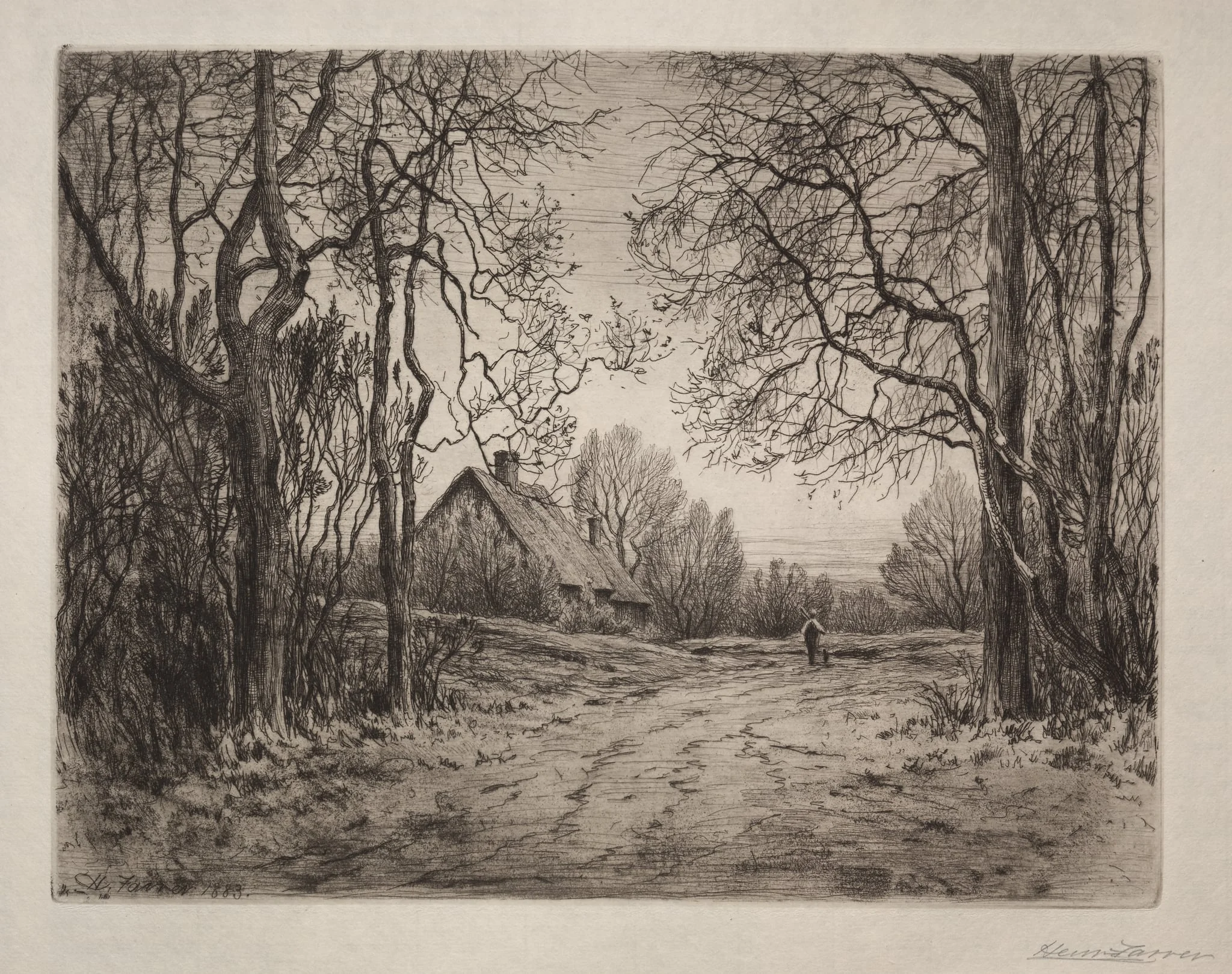 Winter Evening