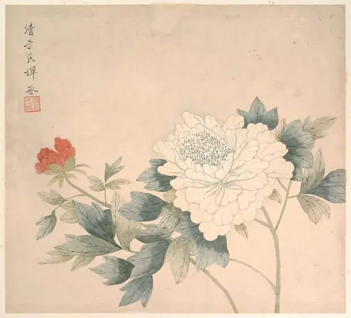 清   惲冰   花卉圖   册页|Flower Study