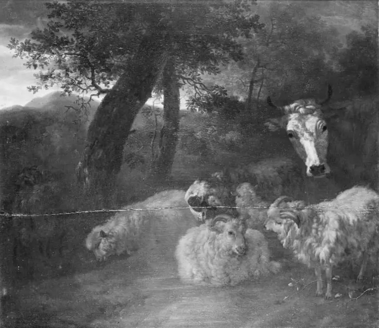 Flock of Sheep in a Wood