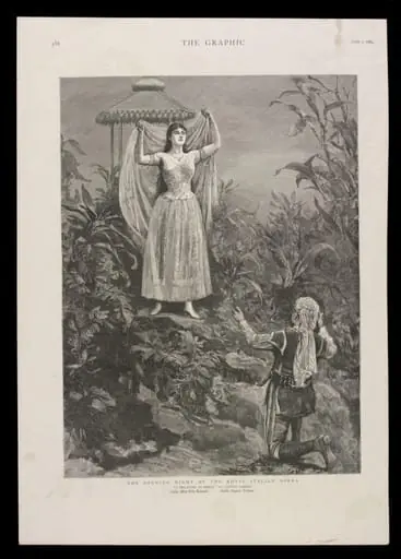 H Beard Print Collection