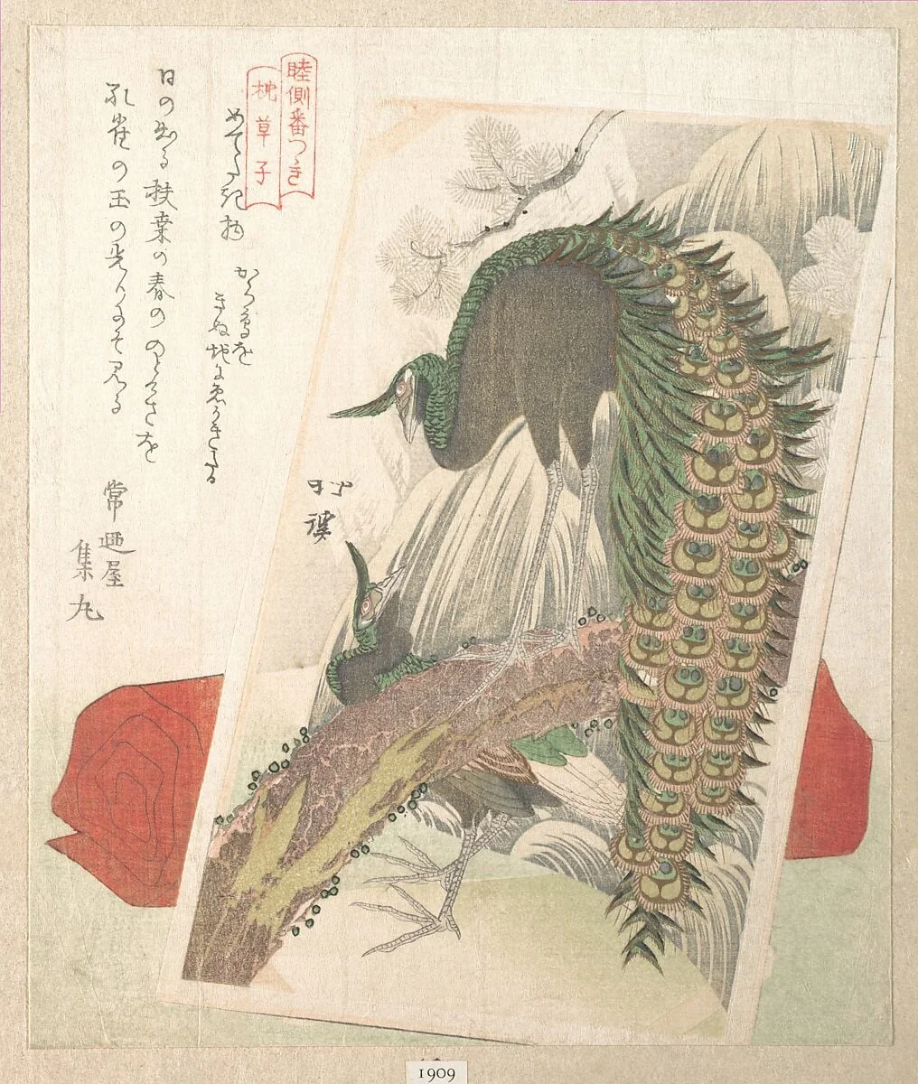 松・滝に孔雀図と緋毛氈|Painting of Peacocks, Pines, a Waterfall, and a Roll of Red Fabric, by Totoya Hokkei, ink, 1818