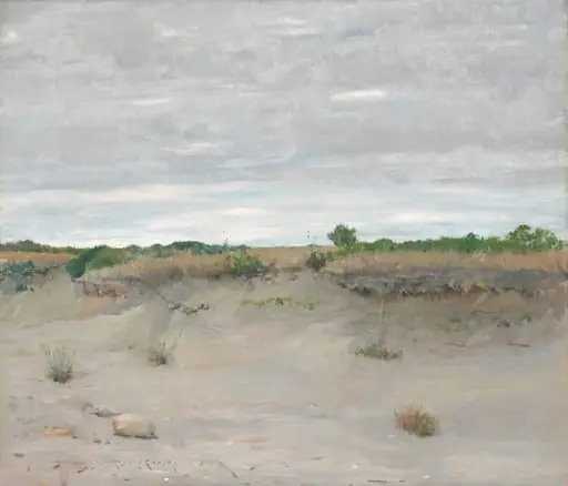 Wind-Swept Sands