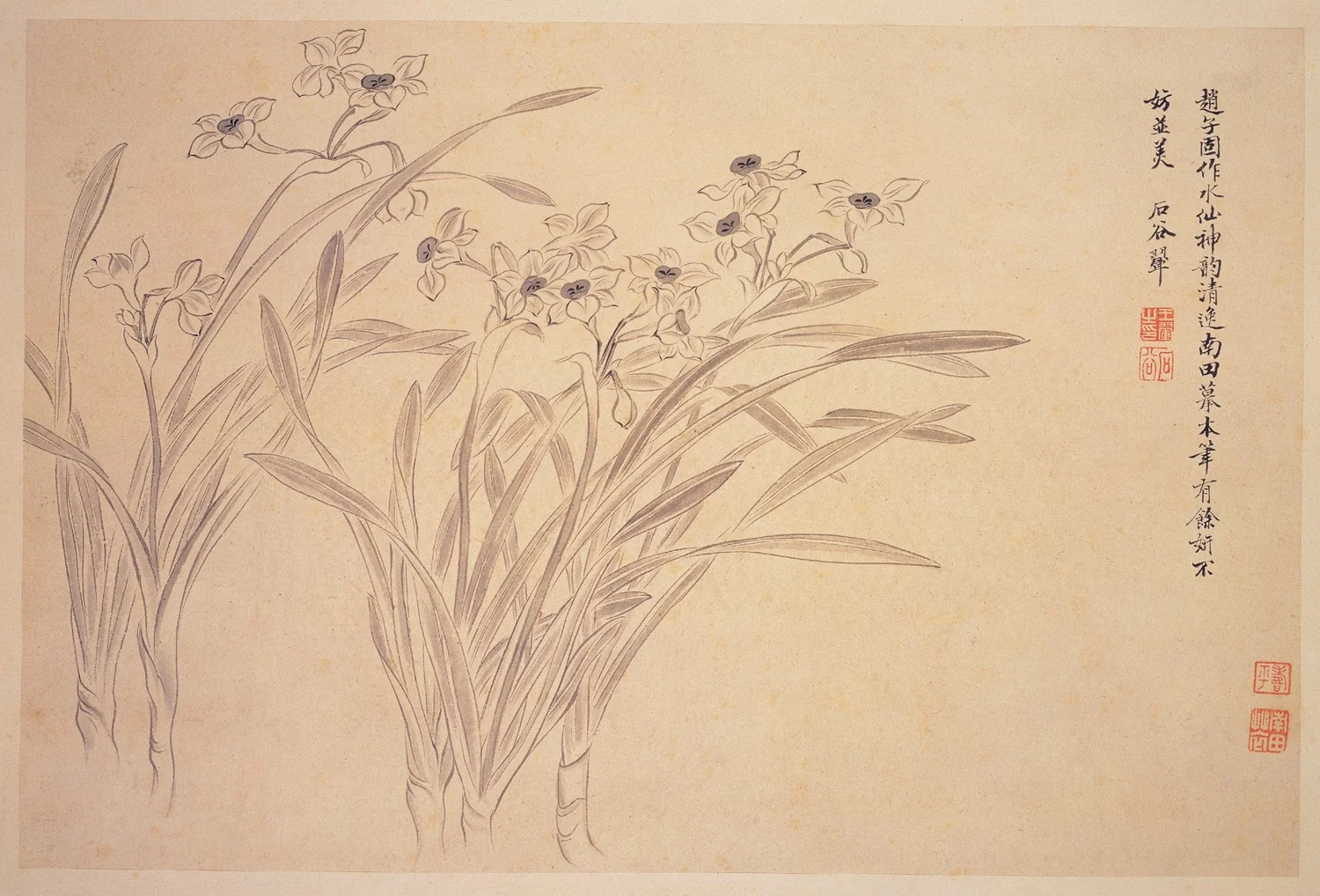 Narcissi, by Yun Shouping, unspecified, 1650