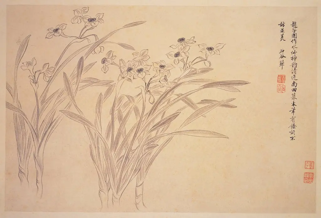 Narcissi