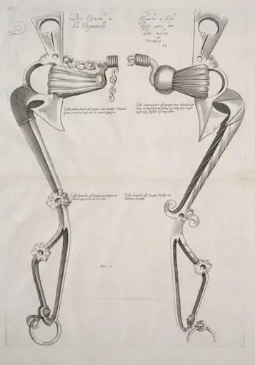 Diagram for Horse's Bit
