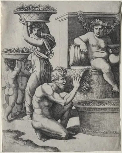 The Wine Press